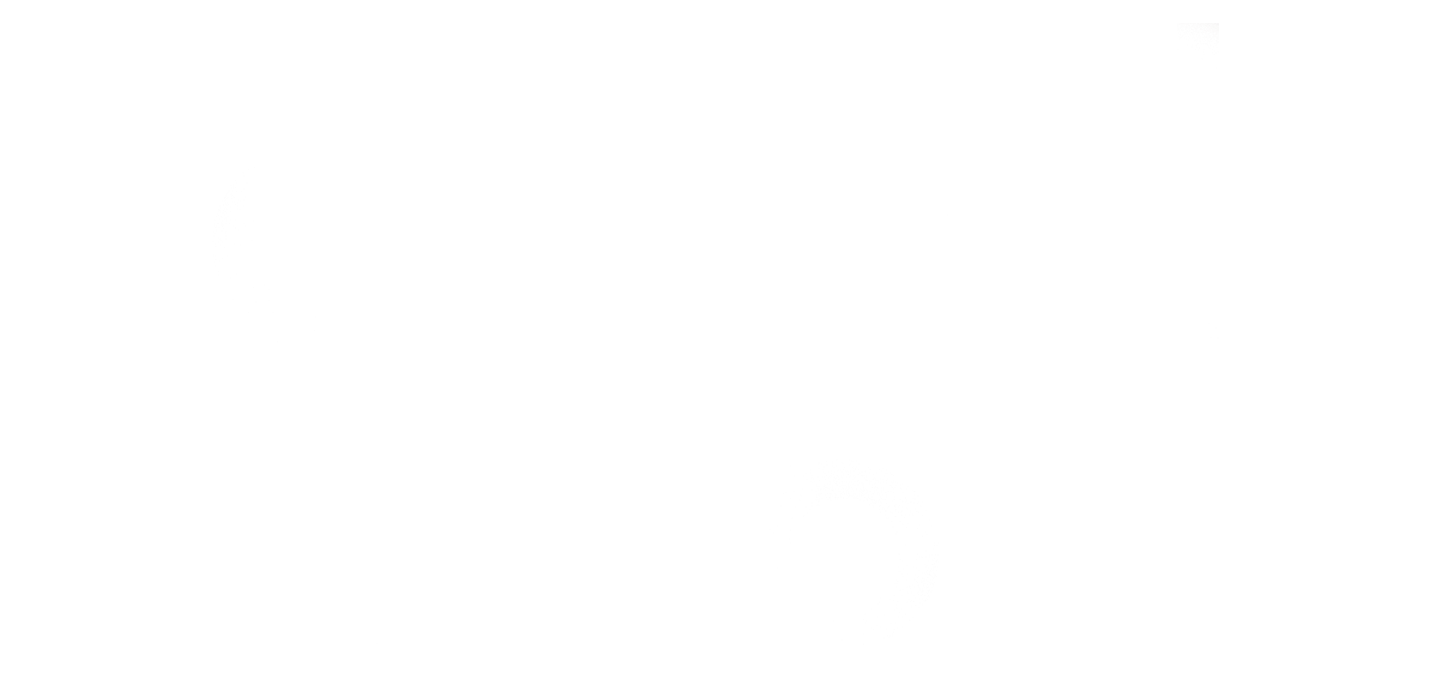 Digital Hub