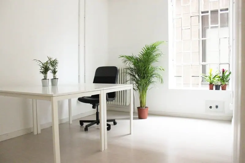 Campus Coworking Porta Romana img