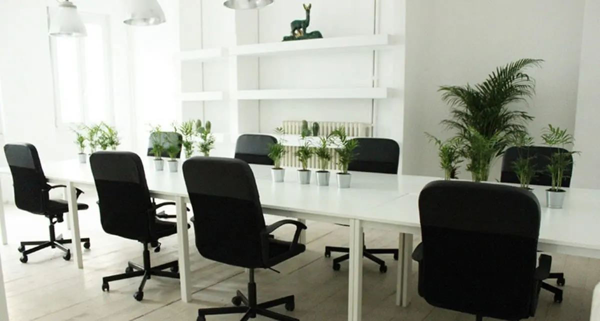 Campus Coworking Porta Romana img