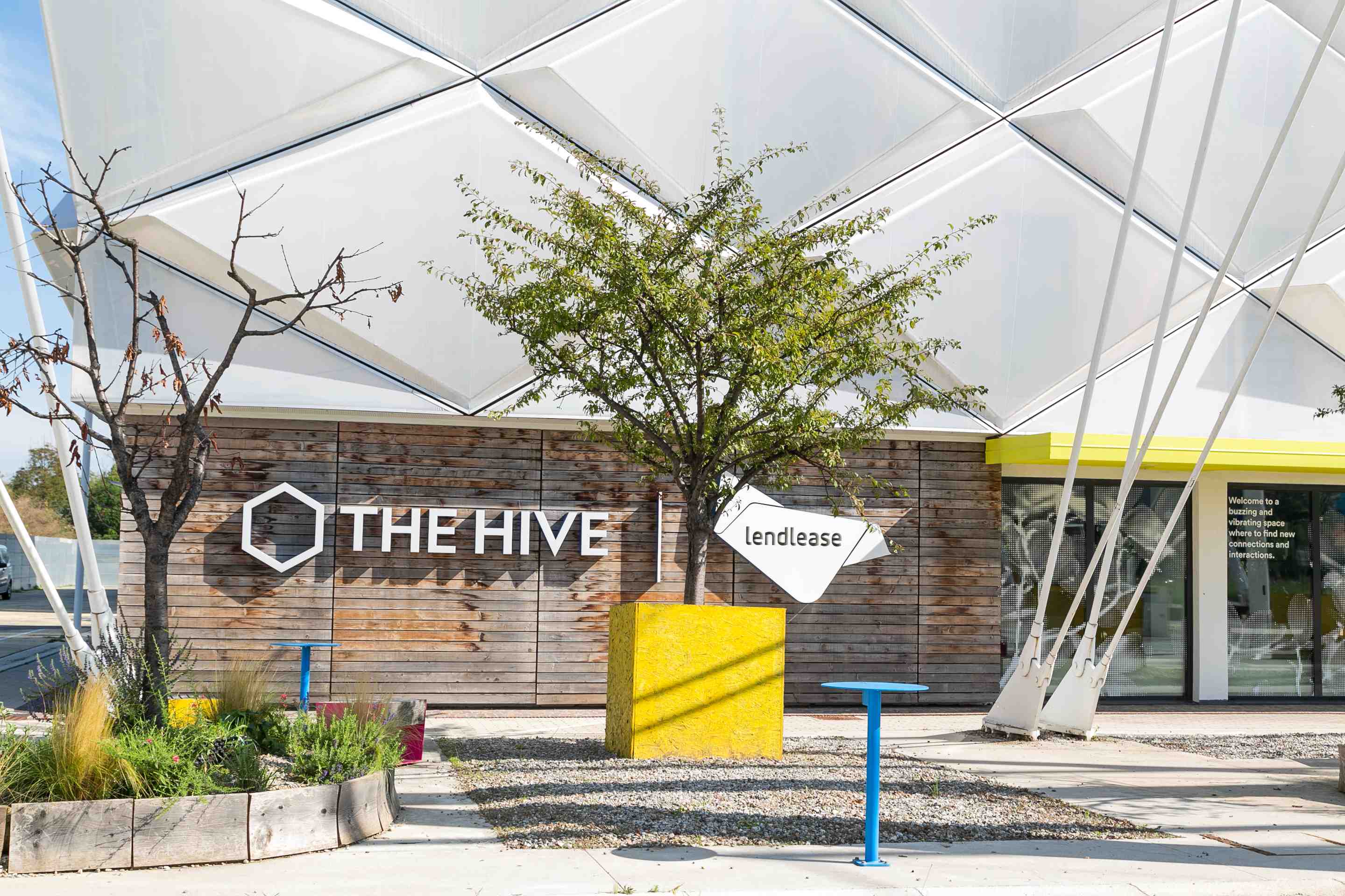The Hive - Stella33 img